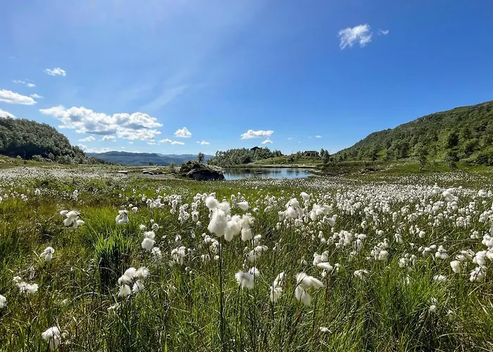Amazing In Josenfjorden With Sauna بيت للعطل Gullingen